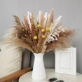 thumbnail image 3 of 70 piezas de decoración de hierba seca natural, hierba pomposa alta, arreglo de jarrón, decoración bohemia, florales, ramo Colco Hierba de pampa seca, 3 of 8