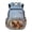 Beach Horse, variant on Canadian Flag Football Backpack for School Boys Schoolbag Large Capacity Daypack Elementary Preschool School Bag Large Capacity 17 Inch Bookbag