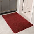 Pluoda Indoor Doormat, Front Back Door Rug Durable Rubber Backing Non