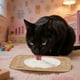 thumbnail image 3 of Comedero Lento Para Perros Almohadilla De Silicona Para Que Los Perros Laman Dispensador Para Cachorros Y Gatos Que Evita La Ansiedad Y El Desorden Seaflex Feast Mat – Comedero Lento Fomenta El, 3 of 5