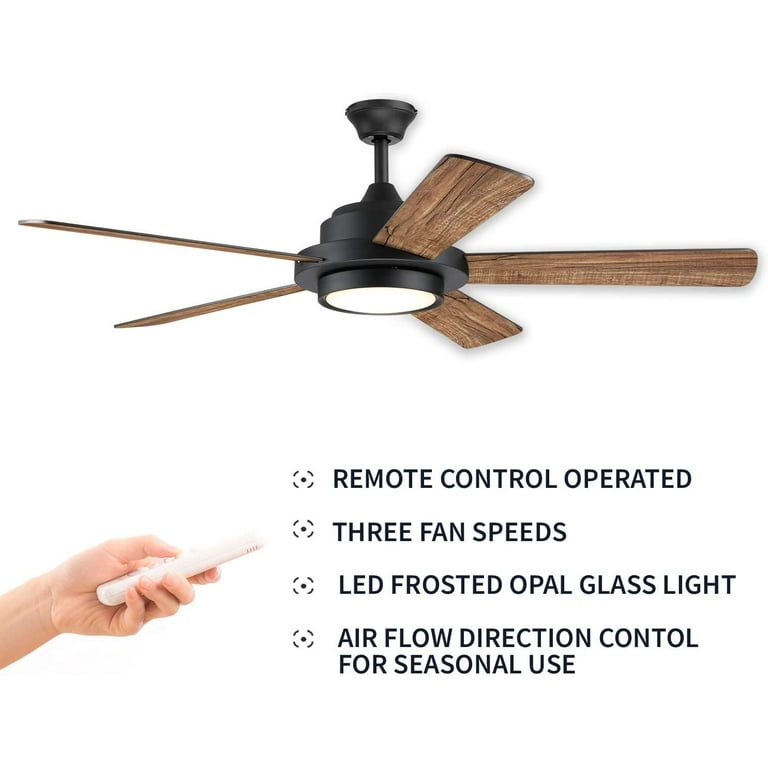 Ceiling Fan Glass Parts Shelly Lighting