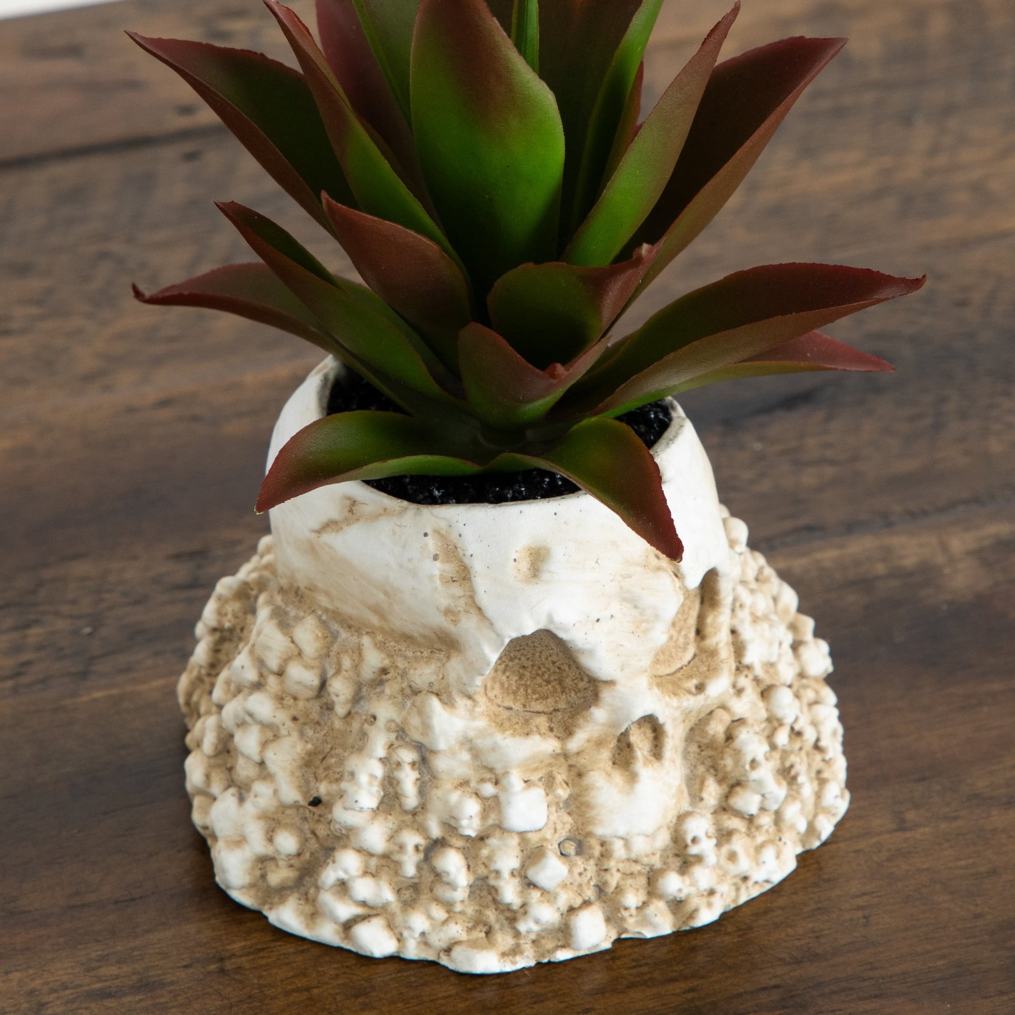 5in. Artificial Halloween Succulent Garden in Haunted Planter - Set of 2