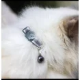 thumbnail image 2 of Collar Para Gato Ajustable Azul Reflejante Mr Pets Unitalla, 2 of 4