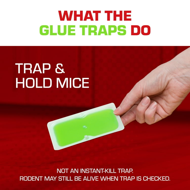 Tomcat Glue Mouse Traps – 6-Pk.