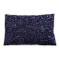 thumbnail image 1 of Ahgly Company Outdoor Rectangular Contemporary Lumbar Throw Pillow, 13 inch by 19 inch, 1 of 5