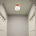 thumbnail image 5 of Entrance Hallway Light Wardrobe Light LED Balcony Small Ceiling Light Fixture, Usupdd 2025 Entrance Hallway Light Wardrobe Light, 5 of 6