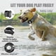 thumbnail image 2 of Reflectante para collar de perro, collar de perro acolchado con etiqueta de aire de Apple resistente DogBlackL, 2 of 5
