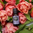 thumbnail image 2 of Edens Garden Lavender-Bulgarian Essential Oil- 100% Pure Premium Grade, Undiluted, Natural, Therapeutic, Aromatherapy, The Best for Diffuser, Skin, Humidifiers, Kid Safe 118 ml (4 fl oz), 2 of 9