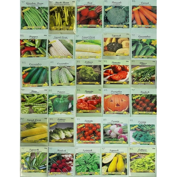 Deluxe Valley Greene 30 Packs Heirloom Vegetable Garden Seeds, Non-GMO