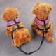 thumbnail image 5 of BR Correa de entrenamiento doble ajustable para 2 perros - Antienredos, Negra, 5 of 5