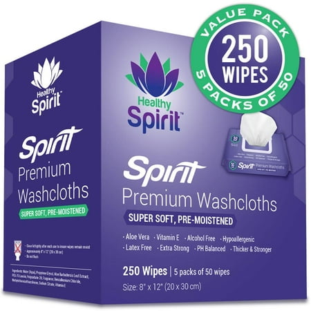 Healthy Spirit Disposable Washcloths 250 Count - Adult Wipes Extra Large, Adult Wipes for Incontinence & Cleansing, 8
