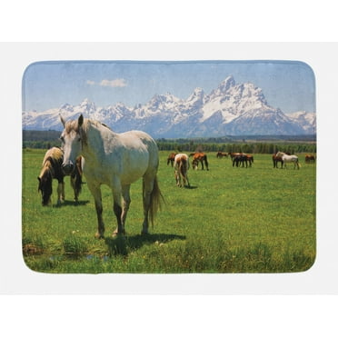 National Parks Bath Mat, Equestrian Design Snowy Idyllic Mountain Peaks Arabian Horse Art Prints, Non-Slip Plush Mat Bathroom Kitchen Laundry Room Decor, 29.5 X 17.5 Inches, Multicolor, Ambesonne