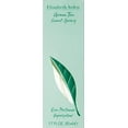 thumbnail image 2 of Elizabeth Arden Green Tea Women's Scent Spray, 2 of 3