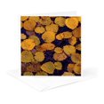 thumbnail image 5 of 3drose, Michigan, Largetooth Aspen Leaves in Autumn Colors - Us23 Bja0033 - Jaynes Gallery, 12 Greeting Cards with Envelopes, 5 of 7
