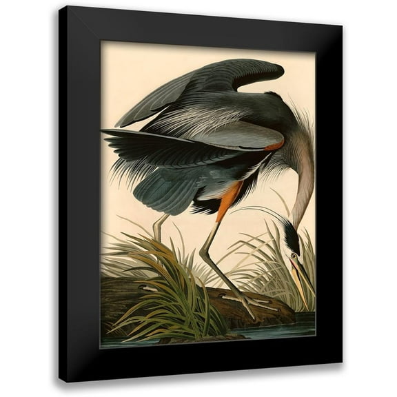 John James, Audubon 12x14 Black Modern Framed Museum Art Print Titled - Great Blue Heron