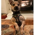 thumbnail image 6 of Snazzi Pet No Pull Adjustable Mesh Step in Dog Cat Harness Teacups XSmall Med 2-20 lb XS-XL Camo M, 6 of 10