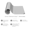 thumbnail image 3 of Vinilo Cricut Premium extraíble plateado de 30,48 cm x 4,57 m, 3 of 9