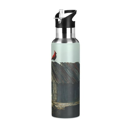 

ALAZA A Red Bird on Vintage Roof Water Bottle Insulated Flask Stainless Steel Straw Lid 20 oz