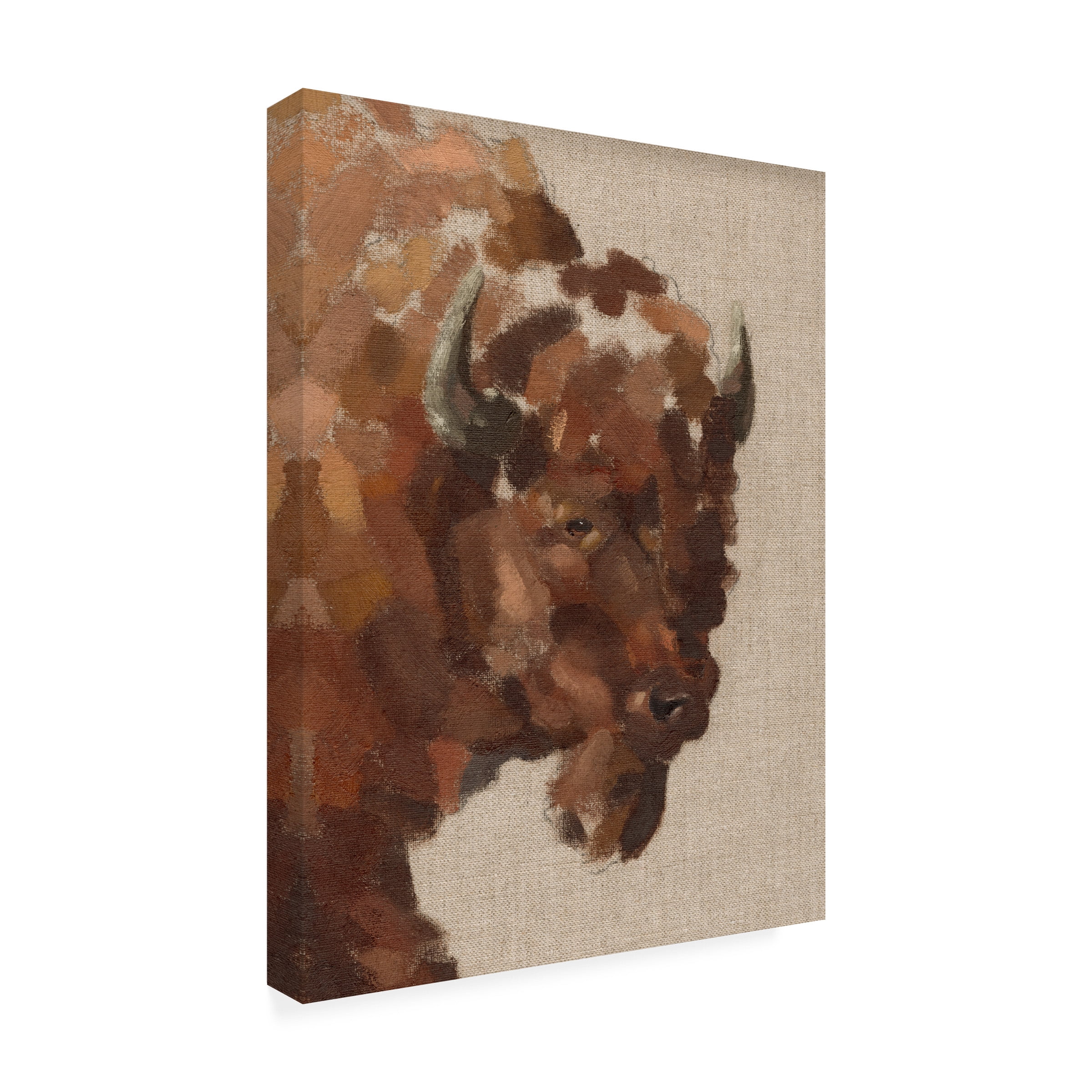 Jacob Green 'Tiled Bison I' Canvas Art