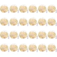 thumbnail image 2 of Brightown Paquete de 24 luces de hadas con pilas – 7 pies 20 mini luces LED de alambre plateado impermeable luciérnaga estrellada DIY luces para dormitorio, patio, boda, fiesta, decoración de Navidad, 2 of 4