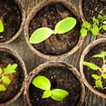 thumbnail image 5 of Biodegradable Peat Pots for seedlings, 100 Pack Plant Seed Starter Pots Kit, 2.4inch Succulent Planter Nursery Pots with 10 Plant Markers, Garden Germination Kits, 5 of 6