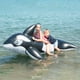 thumbnail image 5 of Estera flotante NikouMX PVC inflable Forma de ballena entretenimiento anillo de natación, 5 of 8