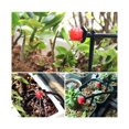 thumbnail image 4 of 100pcs Watering Dripper Set, Garden Watering Nozzles, Automatic Drip Watering, 4 of 4