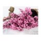 thumbnail image 1 of Muebles para el hogar Flor falsa Flor de seda Flor de moda Estilo europeo Pequeña novia simple Gypsophila sosteniendo rosa Gypsophila (3 piezas) brillar Electrónica, 1 of 3