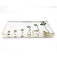 thumbnail image 3 of Bean Germination in Acrylic Block Lifecyle of Bean Biology Science Classroom Specimens (Bean Germination), 3 of 4