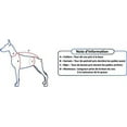 thumbnail image 2 of Red Dingo Classic Dark Blue Dog Harness, Extra-Large, 2 of 3