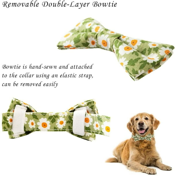 Bow collars store for girl dogs