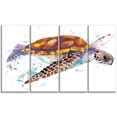 thumbnail image 2 of Brown Sea Turtle Watercolor - Contemporary Animal Art Canvas, 2 of 3