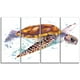 Aquarelle de Tortue de Mer Brune - Toile Contemporaine Animal Art – image 2 sur 3