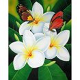 thumbnail image 1 of Diamond Painting (DB5415) Kit de mosaico de flores y mariposas cuadradas (A313) 30x40cm FLhrweasw Nuevo, 1 of 1