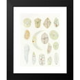 thumbnail image 2 of Charles Atwood Kofoid 11x14 Black Modern Framed Museum Art Print Titled - The Free-Living Unarmored Dinoflagellata Pl 4 (1921), 2 of 5