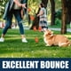 thumbnail image 4 of Pelotas de tenis AMA SPORT Dog Pet rojas para perros pequeños y medianos, 4 of 7