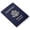 Clear x 5, variant on 2-Pack Passport Holder Set, Clear Transparent Frosted Passport Cover Holder Case Organizer ID Card Travel ProtectorTravel Document Organizer for Men & Women (Clear x1 + Frosted x1)