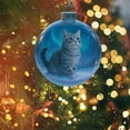 thumbnail image 3 of Cute Cat Christmas Glass Ornaments Collection, Xmas Tree Kitten Ball Ornament, Vivid 3D Animal Decoration, for Cats Lovers, Party Centerpiece Mantel, Fall Winter Home Decor, 3 of 6