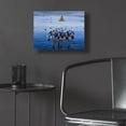 thumbnail image 5 of Epic Art 'Tufted Ducks' by Harro Maass, Acrylic Glass Wall Art, 16"x12", 5 of 8