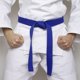 thumbnail image 5 of Cinturón de clasificación de taekwondo de poliéster Uxcell para practicantes azul 1.57"x9.2', 5 of 5