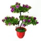 thumbnail image 2 of Gwong Decoración hogareña Artificial Rose Flower Guest Greeling Pine Plant Pot Home Desktop Office Decor Gwong 21037528, 2 of 7