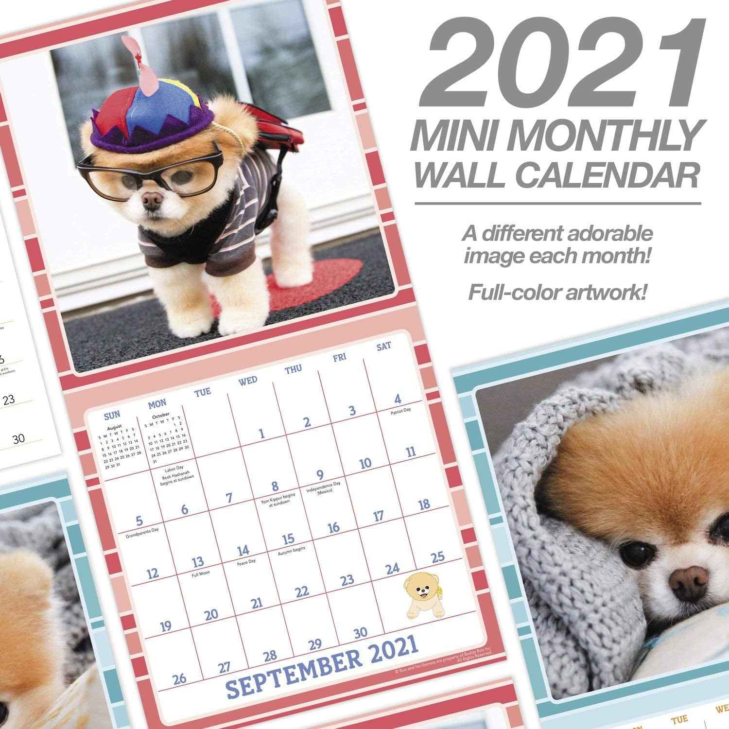 2021 Boo The World S Cutest Dog Mini Wall Calendar 7 X 7 Monthly Ddmn7128 Walmart Canada boo the dog calendar 2021