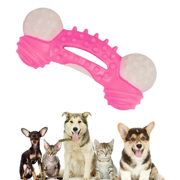 Dog Collar Camera Dog Collar Camera