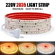thumbnail image 2 of Tira de luces LED 2835 de CA de 220 V, resistente al agua, IP65, 120 LED, flexible, con IC, para iluminación del hogar, color blanco, 0,5 m, 1 m, 2 m, 5 m, 10 m, 20 m, 50 m, 2 of 5