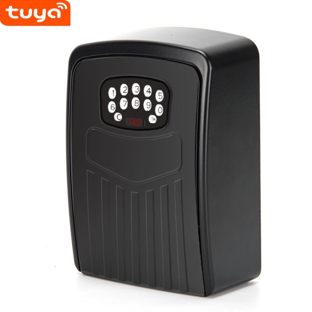 Caja de llaves a prueba de agua con código combinado BOX02 Tuya organizadores de seguridad para llaves antirrobo