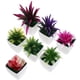 thumbnail image 4 of GOOHOCHY 7 mini macetas para plantas, pequeñas macetas para bonsáis, de escritorio, modelo de planta falsa., 4 of 8