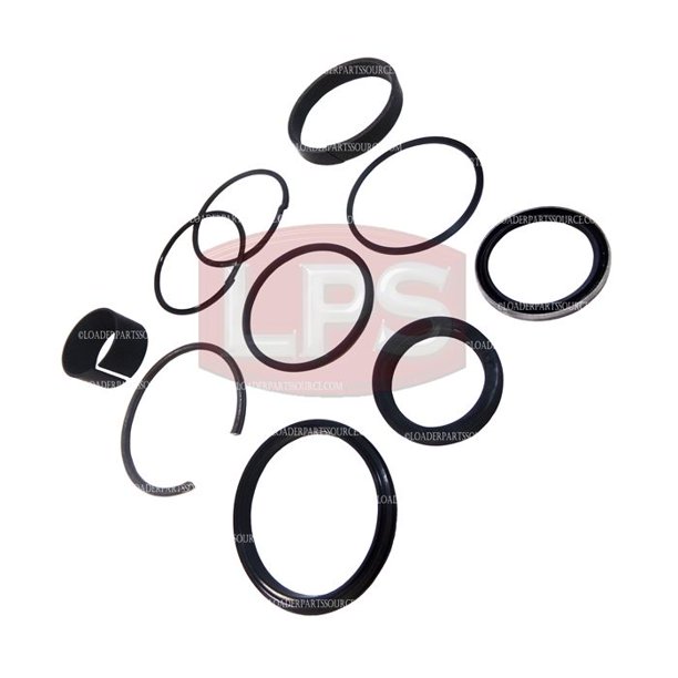 NH283282 New Holland LX665 Skid Steer, Seal Kit for the Boom (Lift