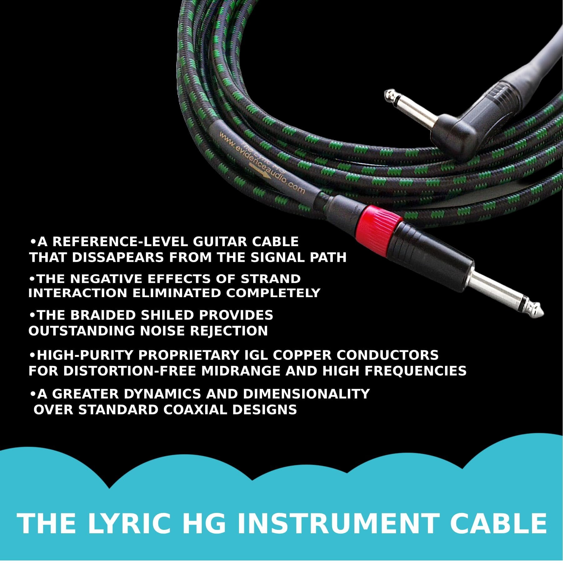 Evidence Audio The Lyric HG Instrument Cable Straight to Straight Plugs 10 feet 3 m