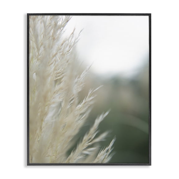 Stupell Industries Bohemian Close Up Country Pampas Grass Black Framed Giclee Art, 24 x 30, by Jason Johnson