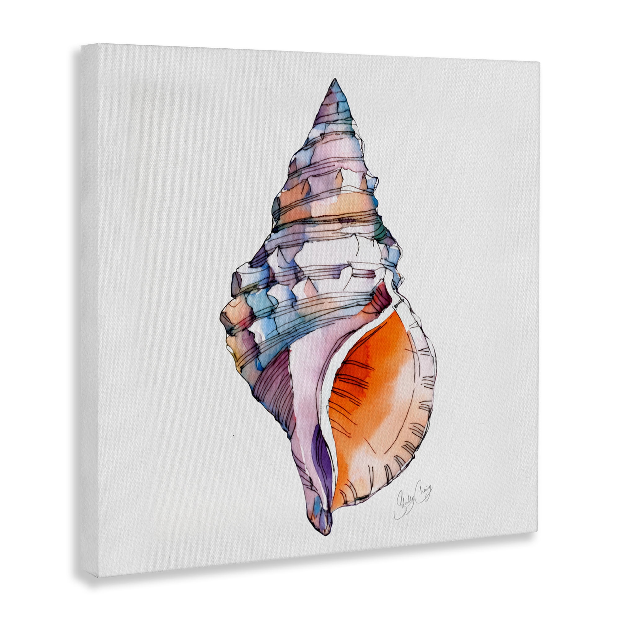 Stupell Industries Sunrise Conch Shell Canvas Wall Art, design by Shelly Craig